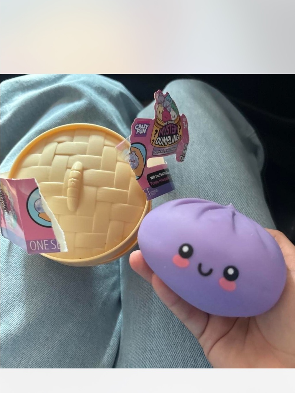 Purple Dumpling Squishy Toy